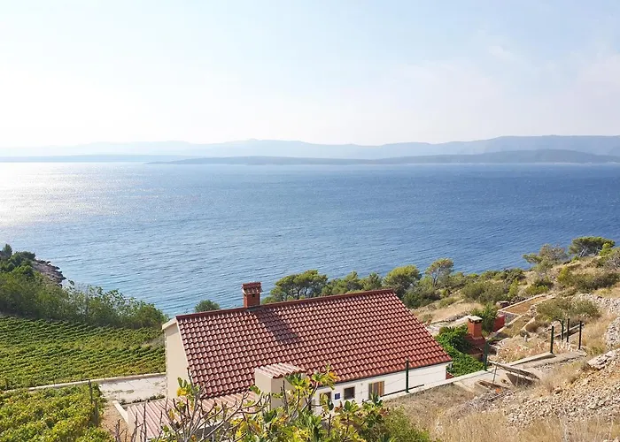 Villa Majda At The Paradise Murvica