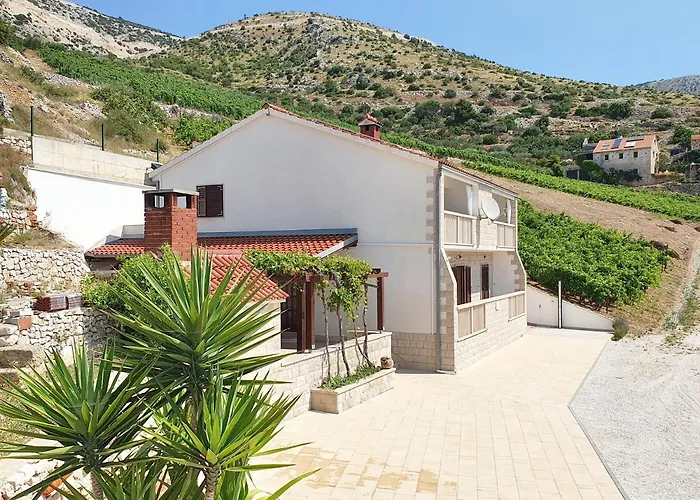 Majda At The Paradise * Murvica