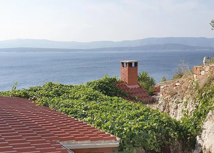 Majda At The Paradise * Murvica