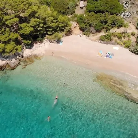 Majda At The Paradise *