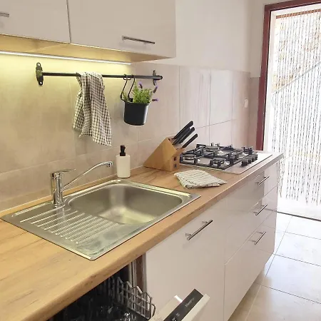 Majda At The Paradise *